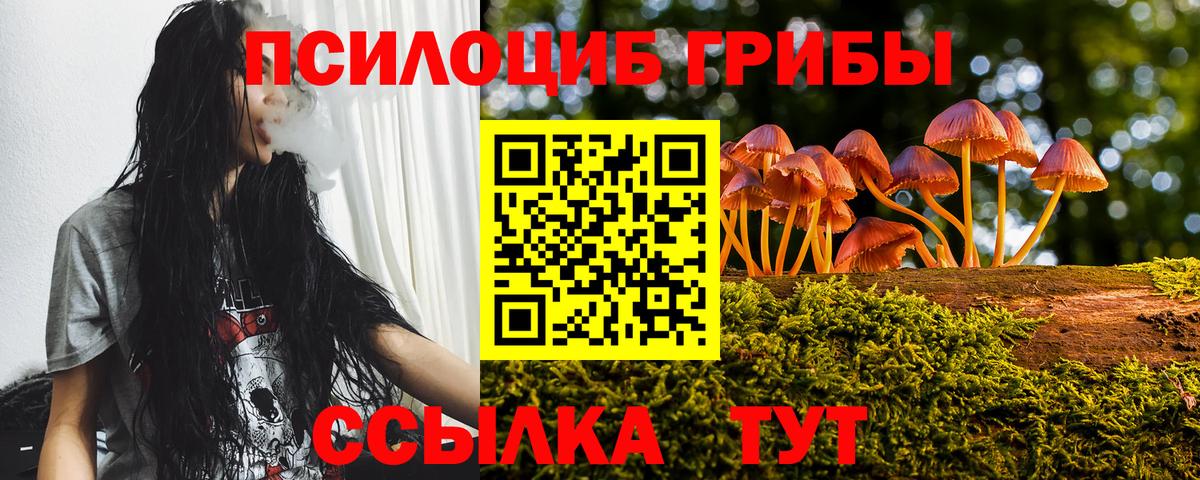 Галлюциногенные грибы Magic Shrooms Хасавюрт