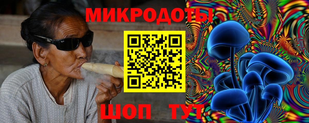 где купить наркоту  Вход с VPN  Хасавюрт  Галлюциногенные грибы мицелий 